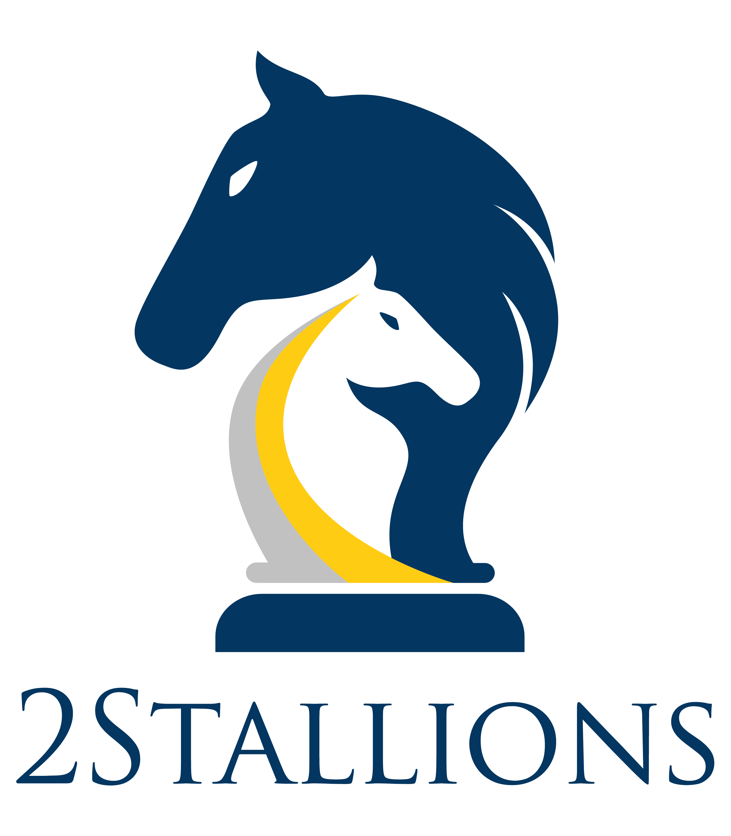 2Stallions Pte. Ltd.